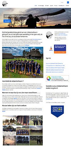 Wordpress website